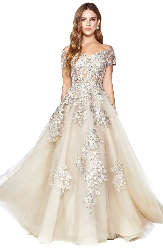 Wardrobe Update Cinderella Divine - C20 Jeweled Applique Illusion A-Line Gown